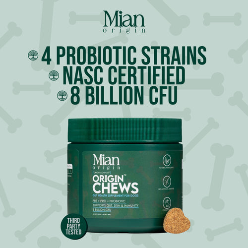 Origin Chews